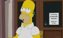 Ankstesnė serija - Simpsonai 20 sezonas 11 serija
