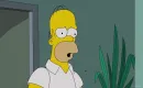 Kita serija - Simpsonai 26 sezonas 13 serija